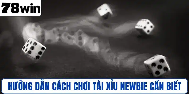 Hướng dẫn cách chơi Tài Xỉu newbie cần biết