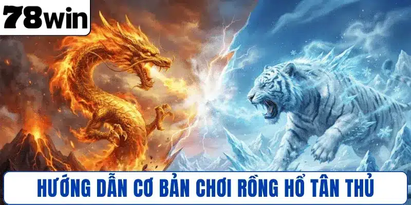 Hướng dẫn cơ bản chơi Rồng Hổ tân thủ